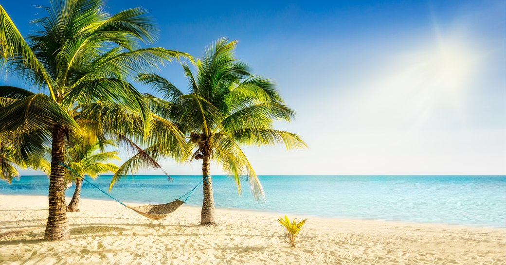 Palm trees with hammock on sandy beach in Virgin Islands, with blue sea in background