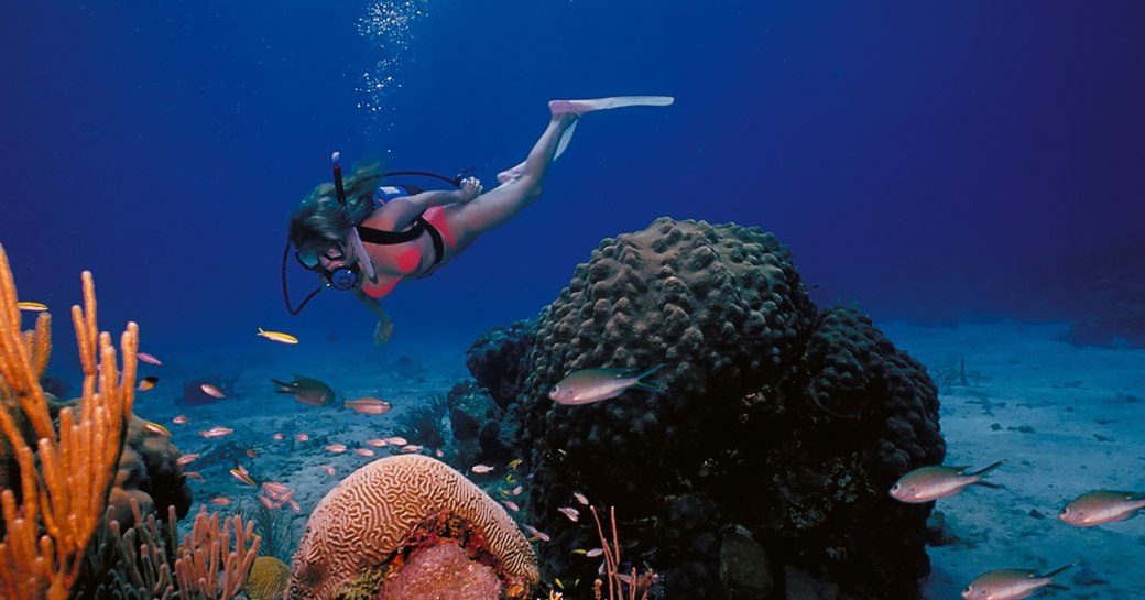 A scuba diving girl in a bikini poses above the coral reef in the warm waters at St. Croix Island in US Virgin Islands