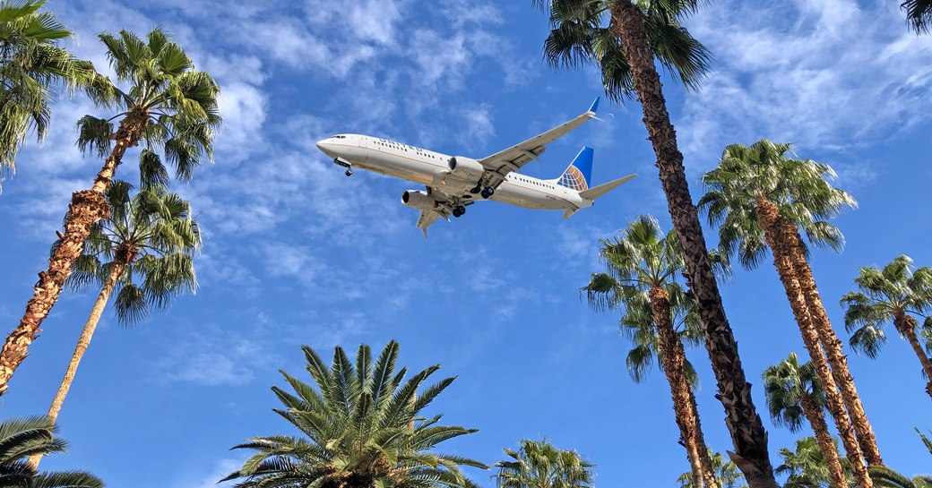 airplane flying past palm trees Bahamas