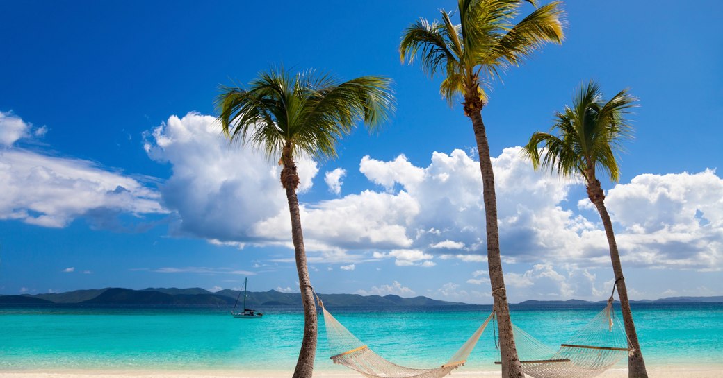 two hammocks between palm trees at White Bay, Jost van Dyke, British Virgin Islands