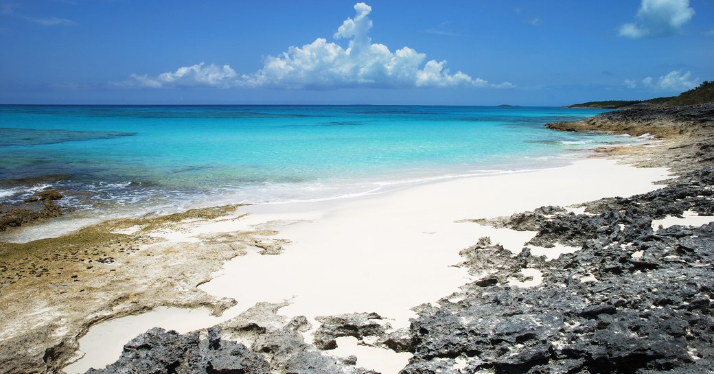 caribbean white sandy beach with bright blue sea