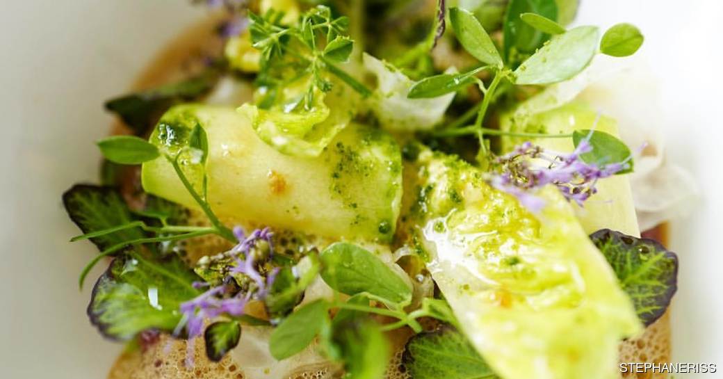 Michelin-style cuisine with green and purple hues