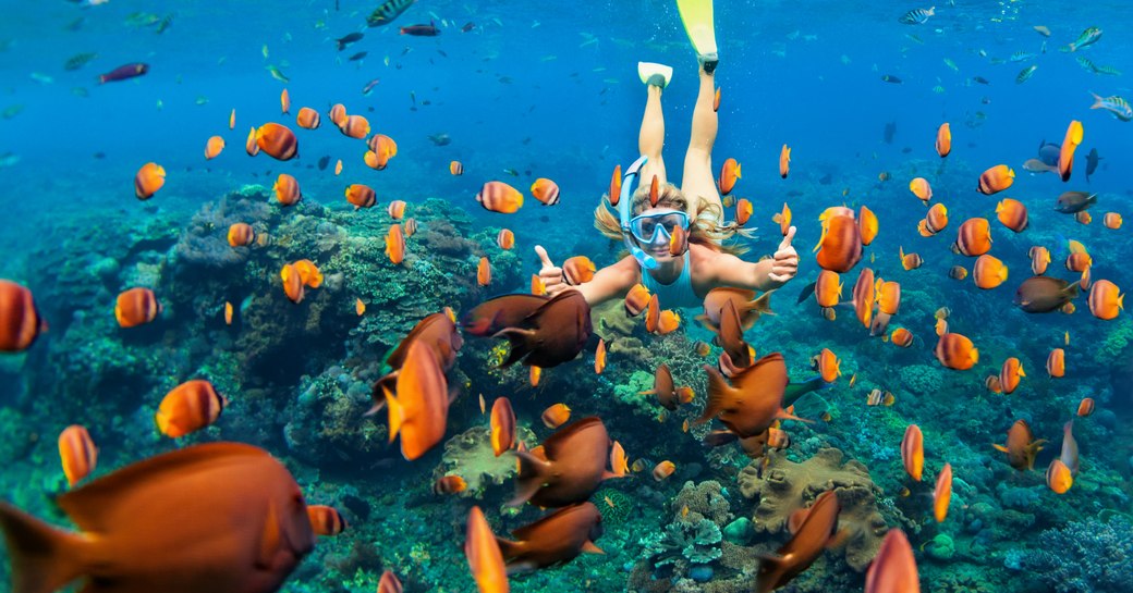 Women diving among fish in Maldives