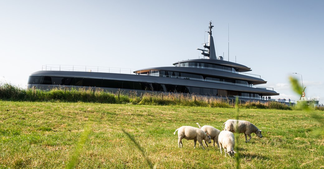 Superyacht OBSIDIAN underway, passing by a green field with four sheep grazing.