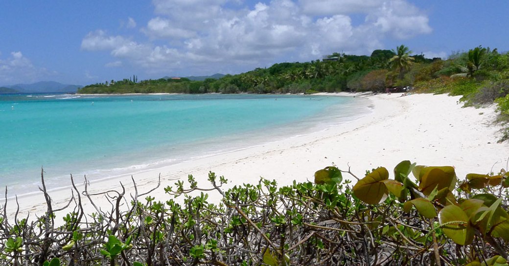 Secluded Lindquist Beach