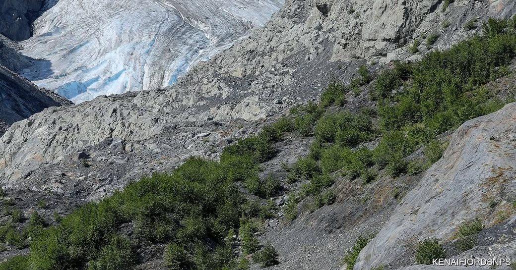 Kenai Fjords National Park Exit Glacier