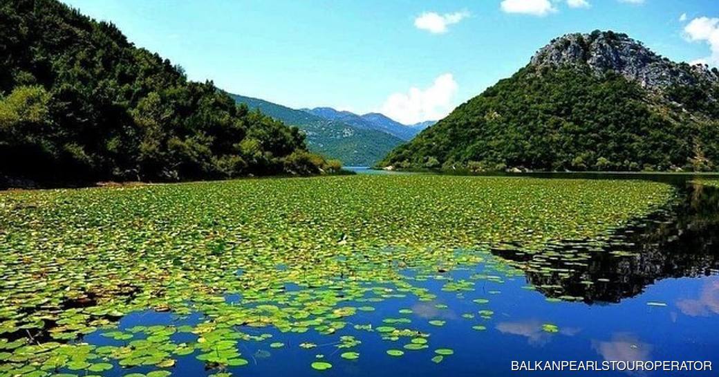 Shkodra Lake, Albania