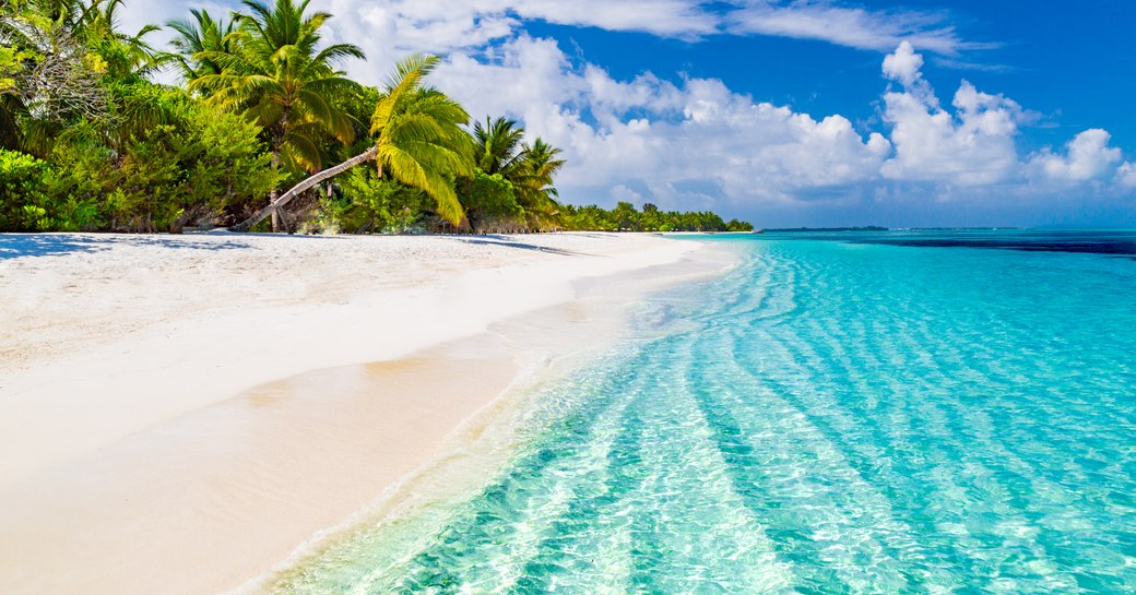 white sandy beach in the Bahamas surrounded by blue water and palm trees