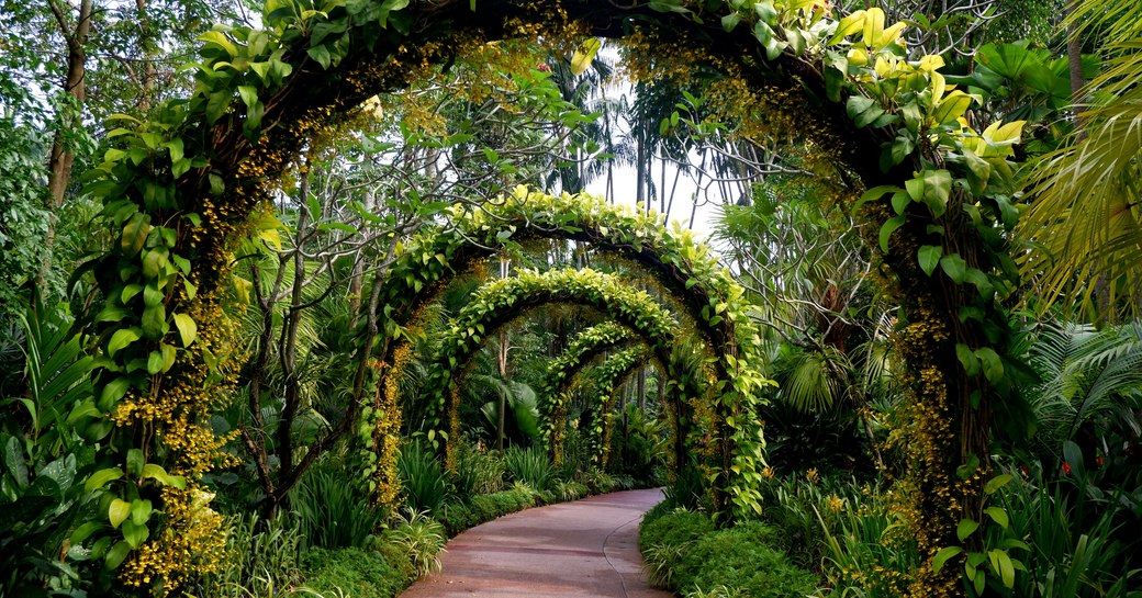 Gardens by the Bay Singapore