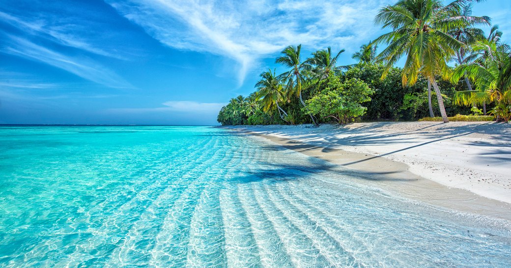 white sandy Caribbean beach with palm trees, turquoise waters and blue skies