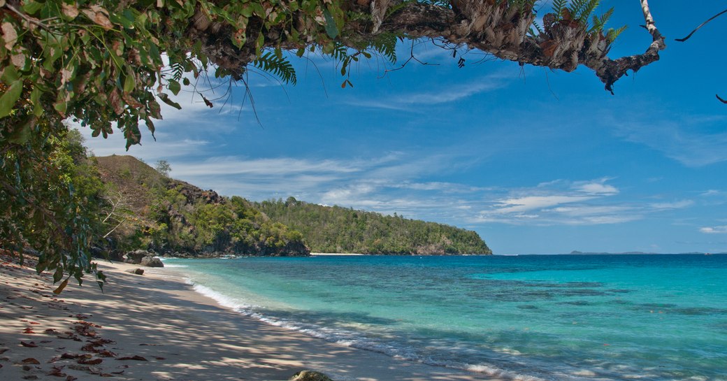 Sandy deserted beach with trees in Raja Ampat