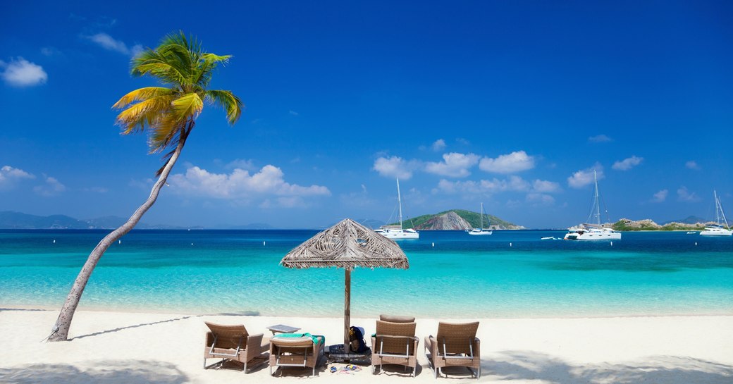 Deadmans Bay sun-loungers and palm tree