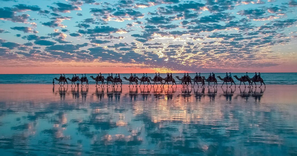 A herd of camels walk along Cable Beach as the sun sets and turns the sky pink