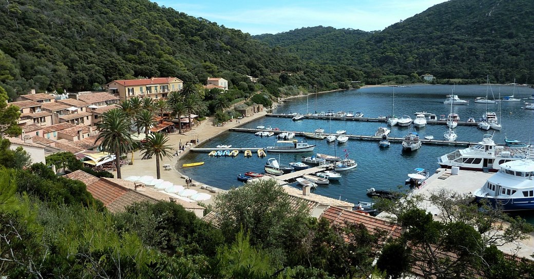 A collection of yachts gathered in Port-Cros