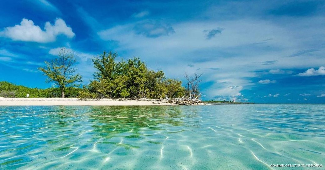 View from turquoise water out to beahcfront that is lined with trees