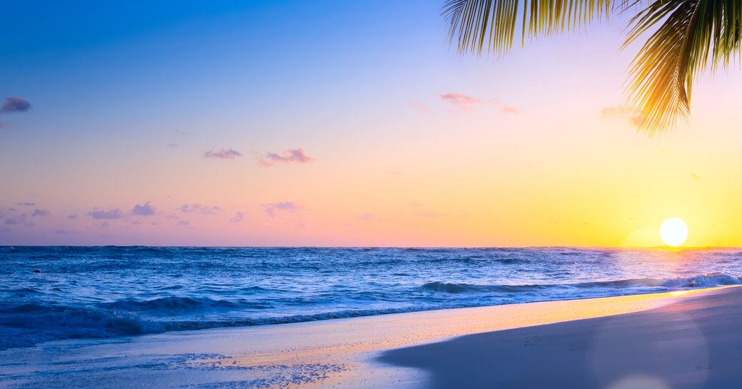 Caribbean beach with sea washing against shore and palm tree in corner of image and sun setting on horizon