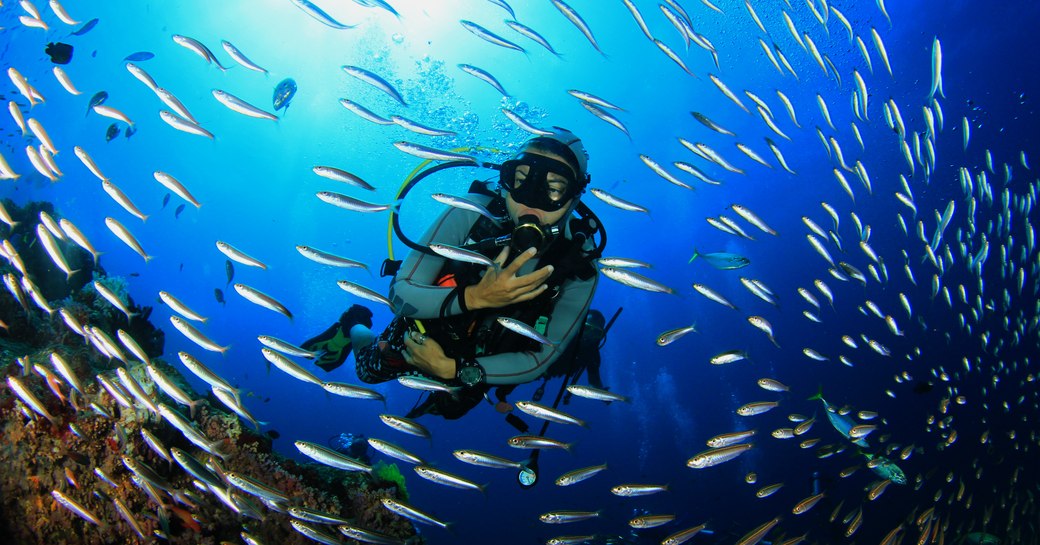 Scuba diving with fish on coral reef in Great Barrier Reef