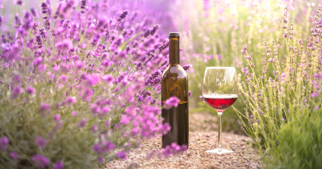 Bottle of wine in lavender field