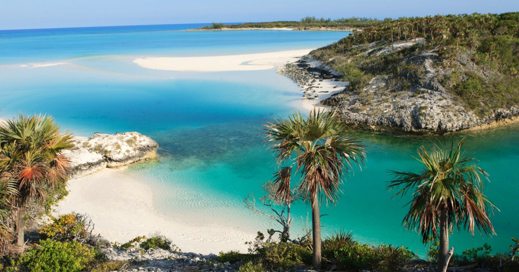 shroud cay in the exumas, beautiful spot in the bahamas with sandy beaches and blue sea and palm trees