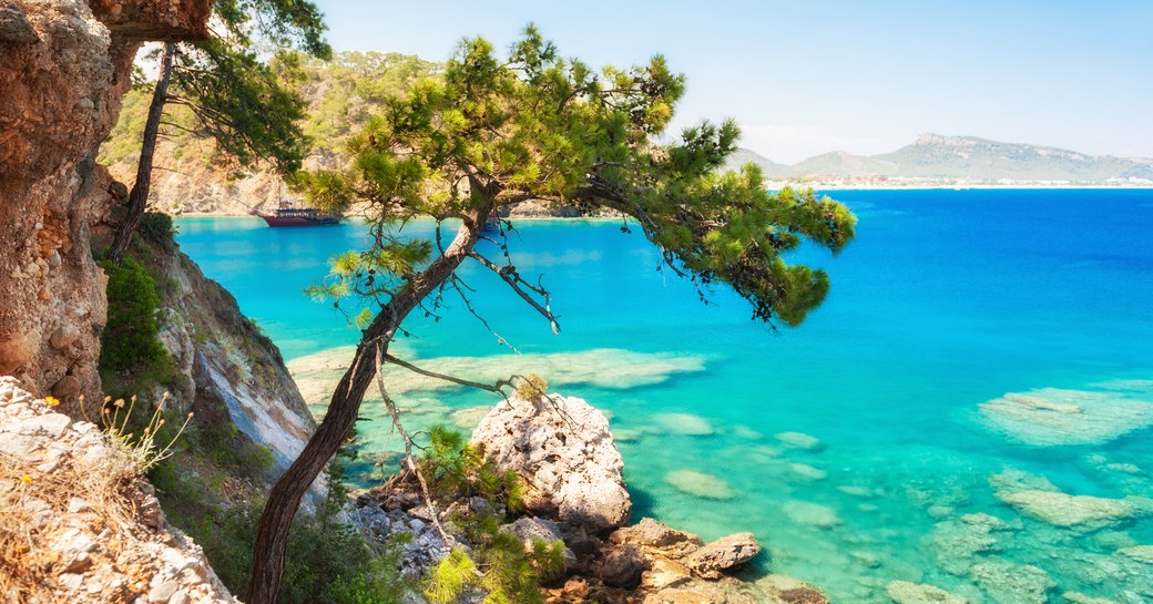 Island in the Mediterranean, with bright blue sea and pine tree