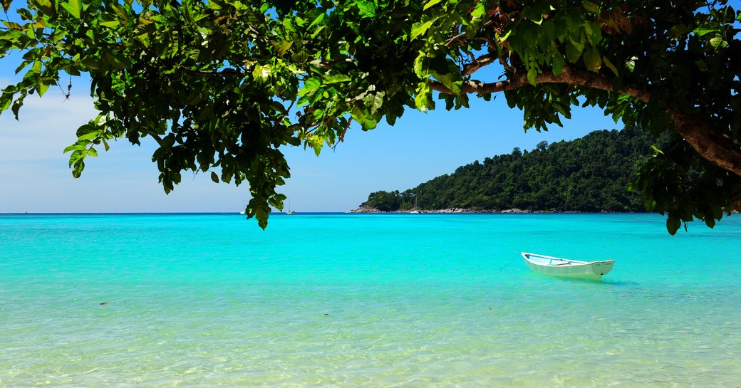 a tiny boat sits in aquamarine waters with the bough of a tree leaning over the water in the foreground