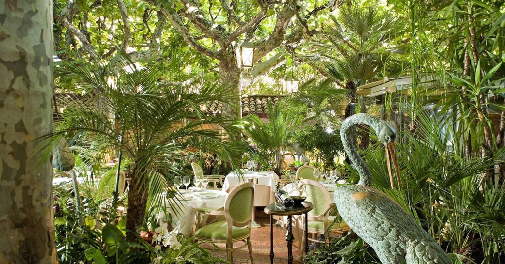 L'Oasis restaurant in Cannes