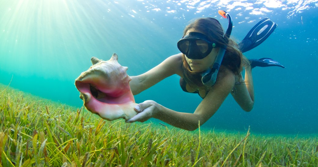 a woman dives during her luxury charter vacation