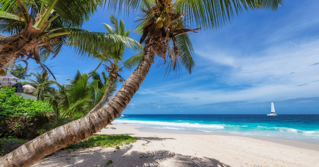 Beach in the Maldives with white sand beach and blue sea