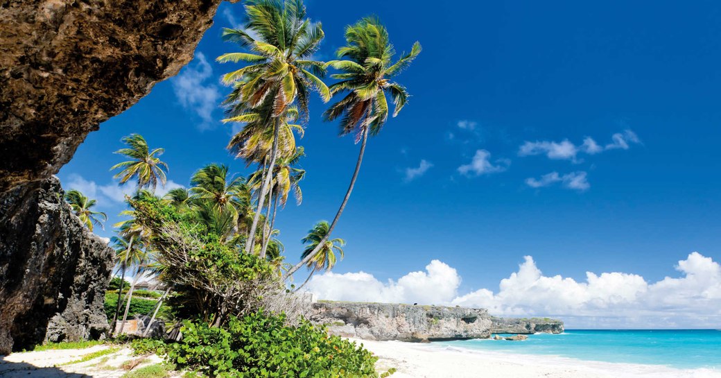 Palm trees blowing in a gentle breeze on a white sand beach