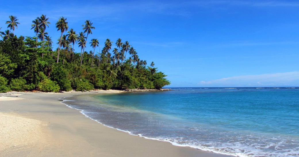 Sandy beach in the Solomon Islands, with palm trees in background