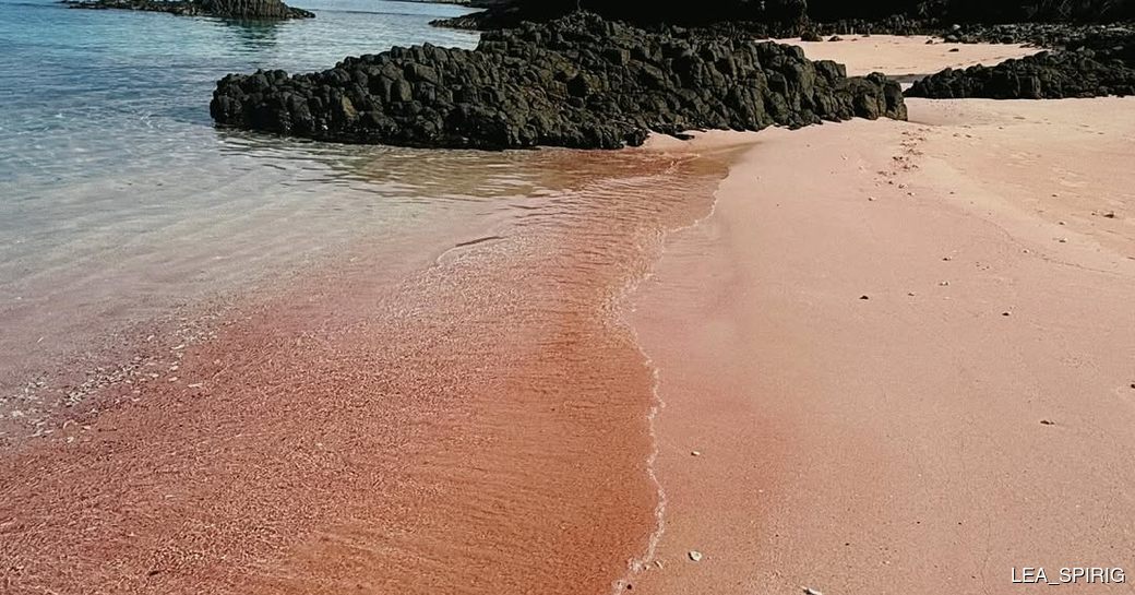 Pink Beach, Komodo Island, Indonesia