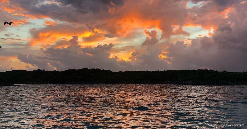 Sunset over the water with birds in the sky 