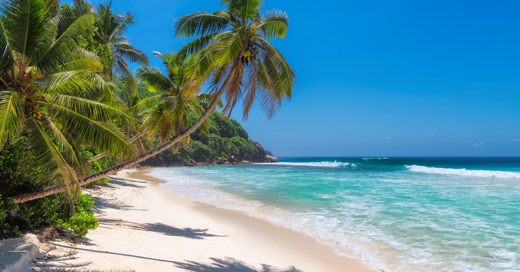 sandy beach in mexico, with blue sea and palm trees over sand