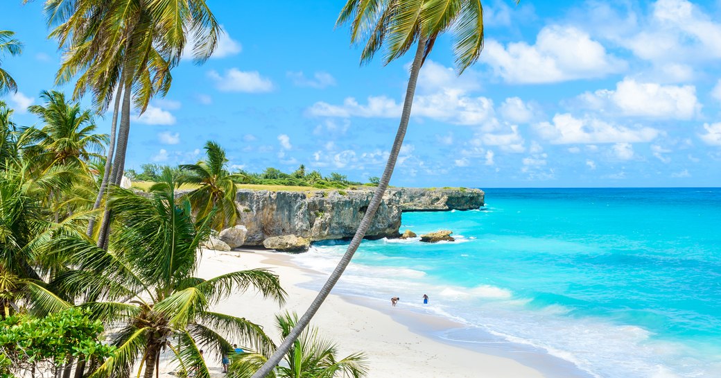 Sandy beach and palm trees in the Caribbean