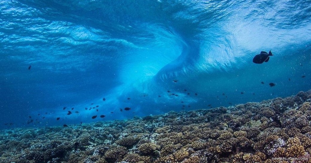 Tipatu Pass dive site in French Polynesia