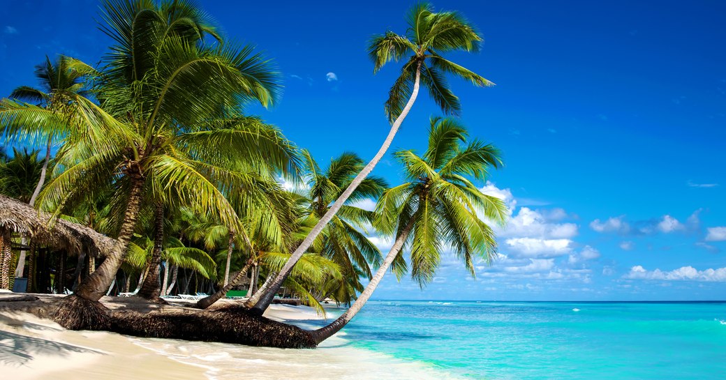 Caribbean beach and sea landscape