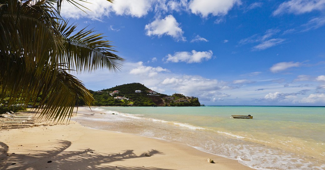 flat sandy beach in the caribbean, with blue water and palm trees