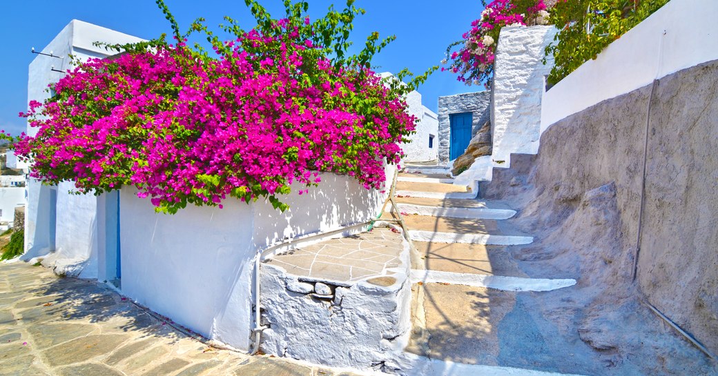 Cobbled street and white-wash walls in Greece with pink flowers