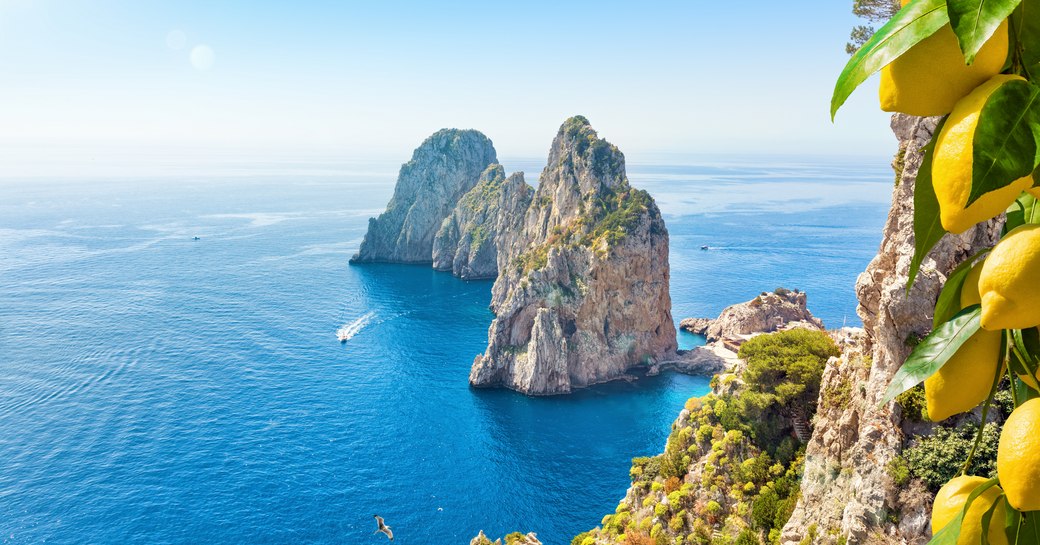 Lemons on a tree in the frame of a shot of the Faraglioni rock formation off the coast of Capri