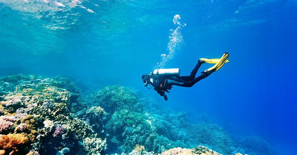 Snorkelling in the Seychelles