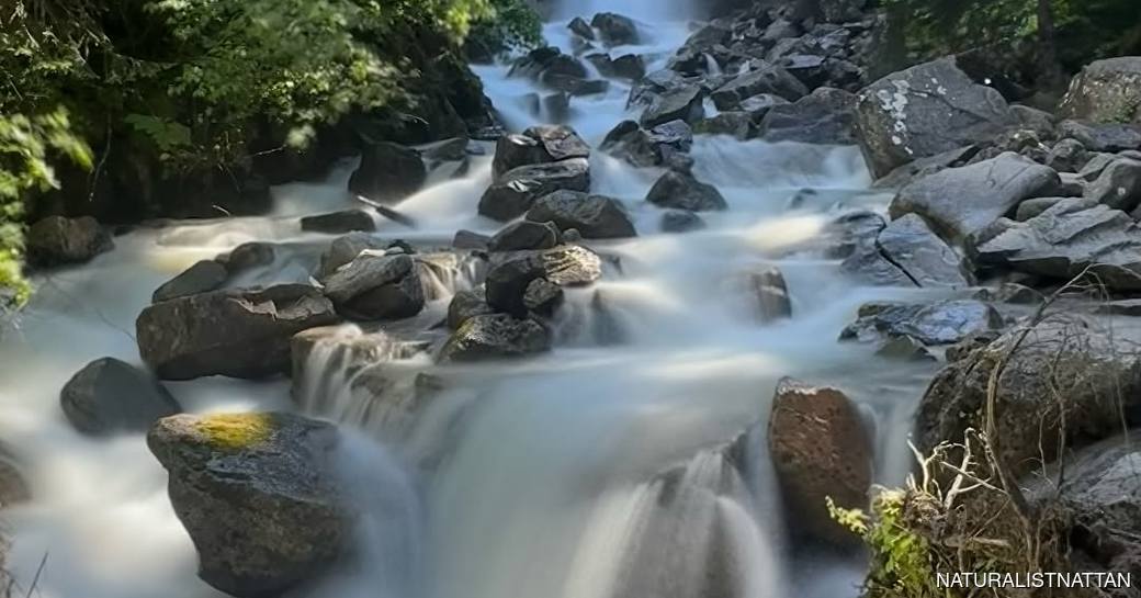 Lower Reid Falls