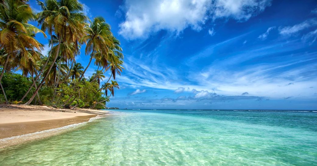 The crystalline waters of Tobago, Caribbean