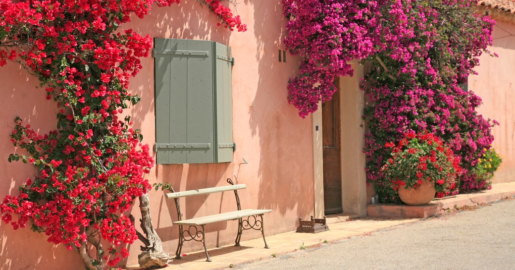 Flowered houses, doors and windows in Porquerolles island / Beautiful South of France and French Riviera view