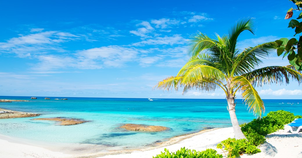Bahamas seascape with white sand beach and bright blue sea with palm tree in foreground