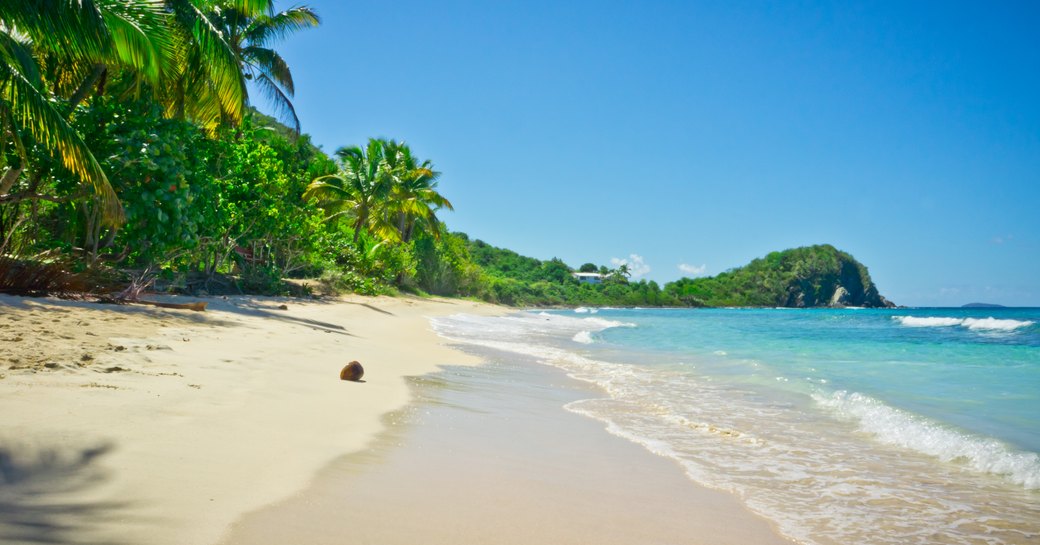 Sandy beach in the British Virgin Islands