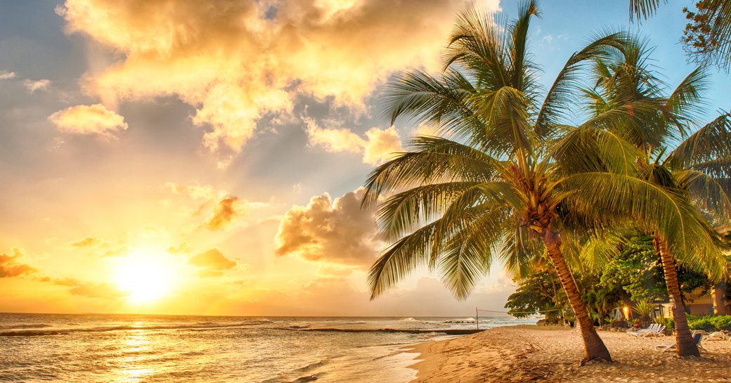 sun setting behind some palm tress nestled on the sandy shores of the caribbean