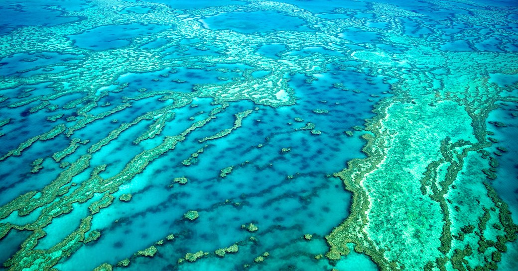 Great Barrier Reef in the Whitsundays, Queensland Australia.