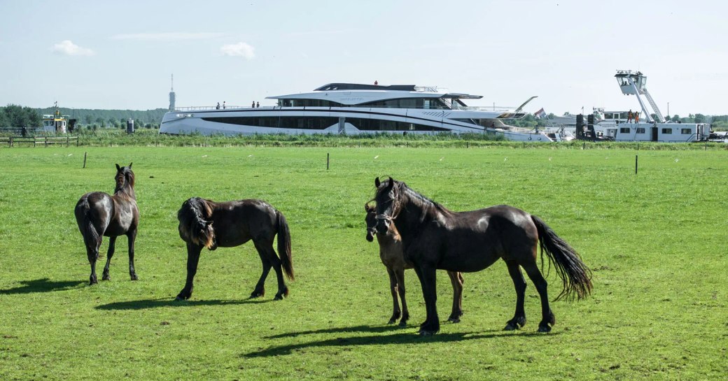 Superyacht SPARTA cruising along a river behind a field with four dark brown horses.