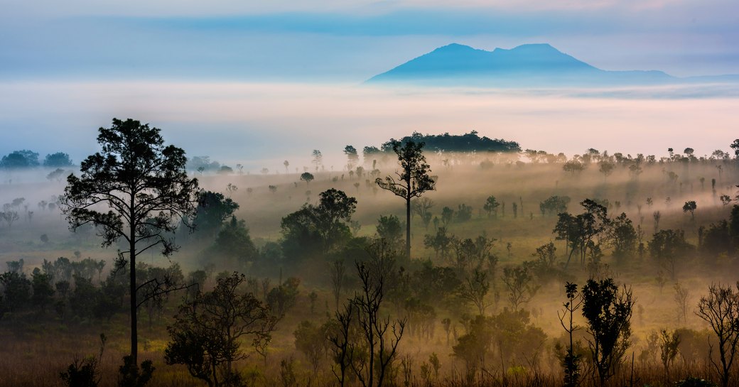 Thung Salaeng Luang national park of Thailand, mountain view with sea of fog and forest.