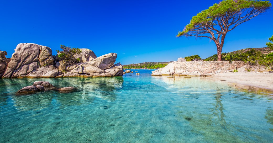 Shallow sandy cove in Corsica, with pine trees on land and boulders in the midst of the blue sea